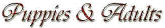 words.jpg (105967 bytes)