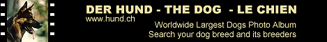 filmbanner.gif (9256 bytes)