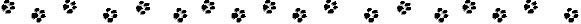pawline5135.gif (1140 bytes)
