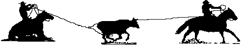 teamrope.gif (2456 bytes)