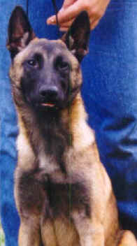 ares_sit_4_months.jpg (9212 bytes)