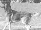 clip2.jpg (30032 bytes)