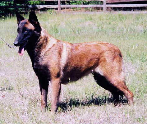 obi5yr2.jpg (30340 bytes)