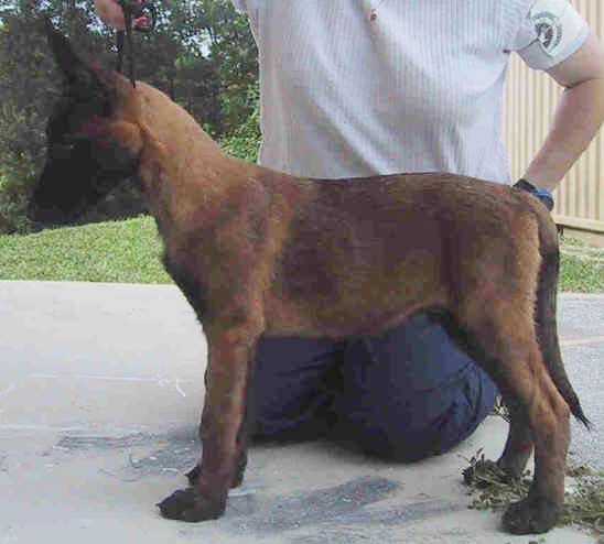 gambit3months.jpg (31705 bytes)