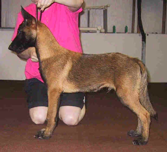gambit4mths.jpg (25100 bytes)