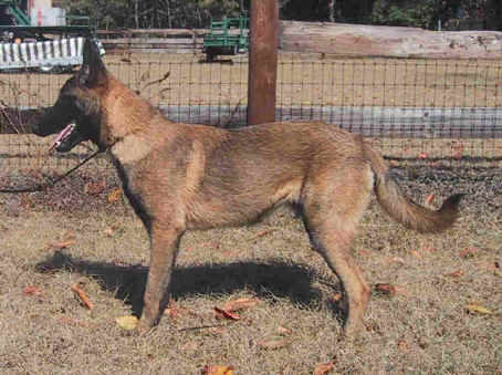 gambit8mth.jpg (26935 bytes)