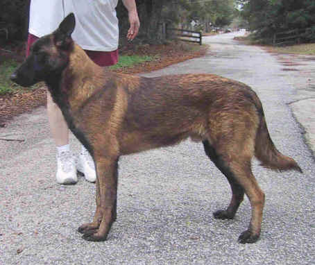 gambit9mth2.jpg (24655 bytes)
