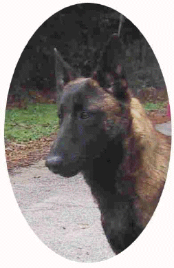 gambit9mth3.gif (46515 bytes)