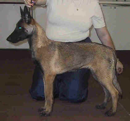 jade4mth.jpg (13445 bytes)