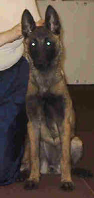 jade4mth2.jpg (7193 bytes)
