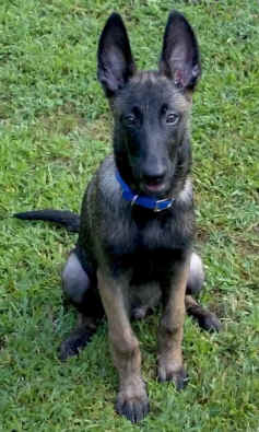 ringo3mth.jpg (16972 bytes)