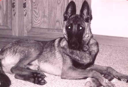 rocco7mth.jpg (15473 bytes)