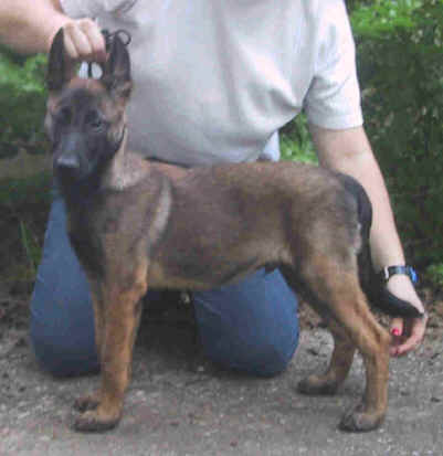 sonny3mths.jpg (15317 bytes)