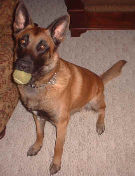 buddy.jpg (684800 bytes)