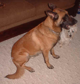 buddy2.jpg (10527 bytes)
