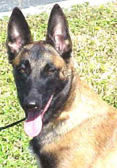 katie_12mth_sit.jpg (17880 bytes)