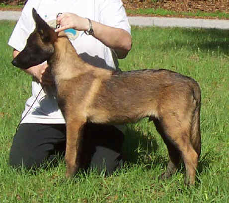 anakin4mth.jpg (60626 bytes)