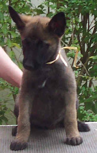 jedi9wks2.jpg (19536 bytes)
