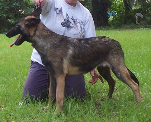 jediprofile5mth.jpg (40444 bytes)