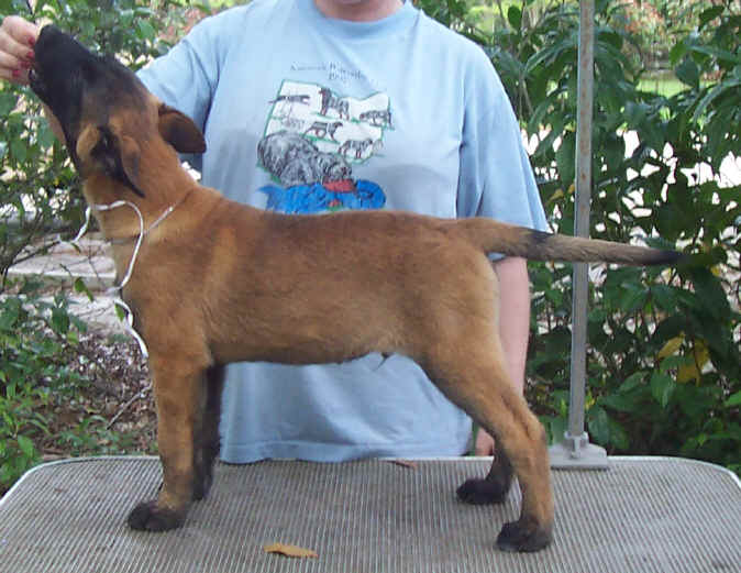 raider12wk2.jpg (47292 bytes)