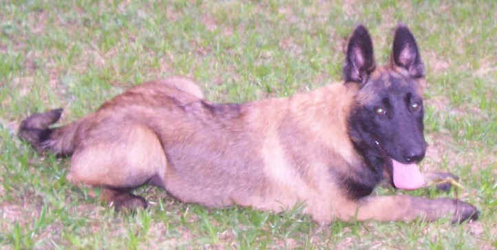 raider3mthc.jpg (69671 bytes)