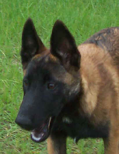 raider5mths.jpg (31751 bytes)