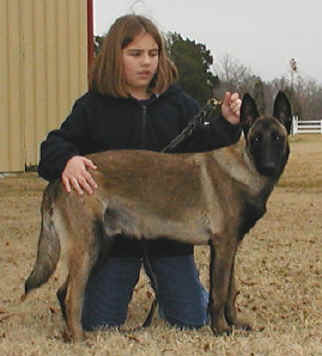 AshleyDuke3.jpg (13363 bytes)
