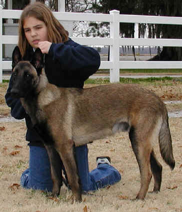 AshleyDuke4.jpg (22005 bytes)
