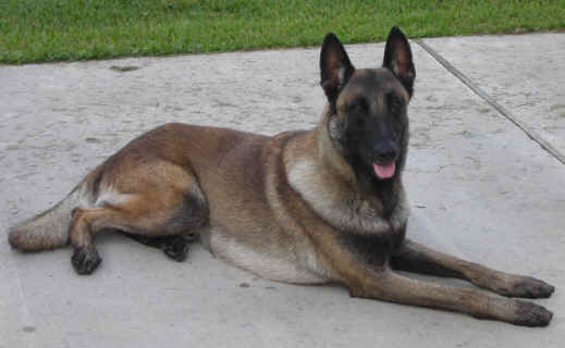duke2yrs2.jpg (835470 bytes)