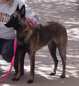 rodeo9mth.jpg (10366 bytes)