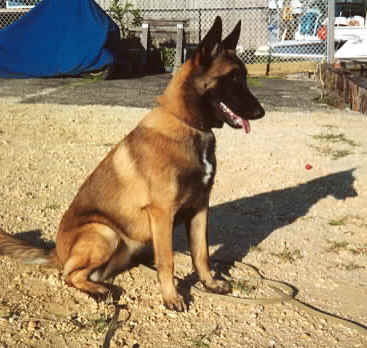 bea8mth2.jpg (44350 bytes)