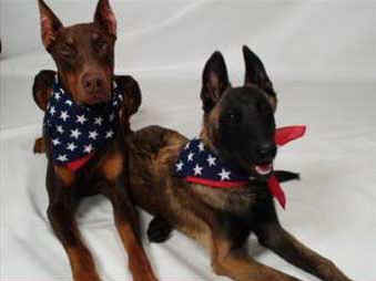 gator6mths5.jpg (17283 bytes)