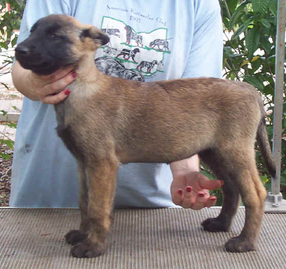 jubilee12wks3.jpg (36239 bytes)