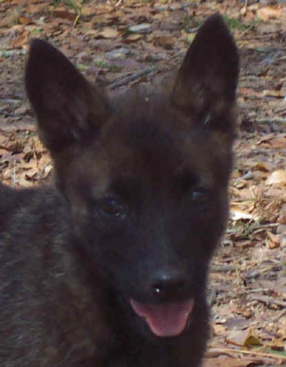 storm8wks3.jpg (22205 bytes)
