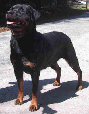 asia2.jpg (46210 bytes)