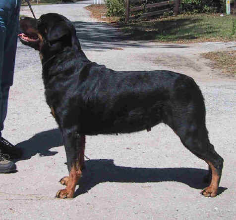 asia3.jpg (25443 bytes)