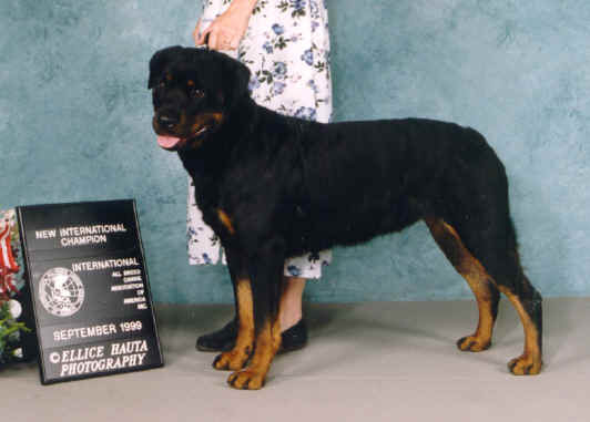 Newasia.jpg (92146 bytes)