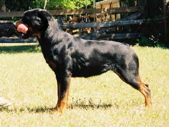 misty18mths2.jpg (44238 bytes)