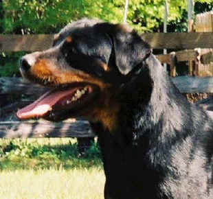 misty18mths4.jpg (38070 bytes)