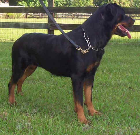 mistymay2005.jpg (31036 bytes)