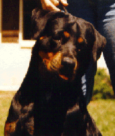 es.gif (46735 bytes)