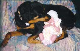 1jazzs.jpg (15553 bytes)