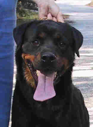 daskahd2.jpg (8261 bytes)