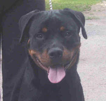 ceaser2.jpg (23727 bytes)