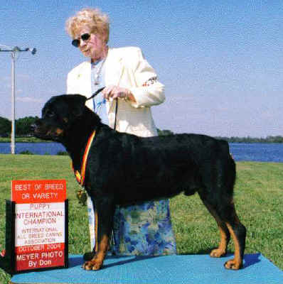 lightning.jpg (20950 bytes)