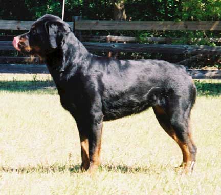 torah2yr2.jpg (33964 bytes)