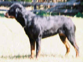 torah2yr3.jpg (7642 bytes)