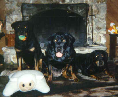 schani_classy_echo_2001.jpg (17471 bytes)