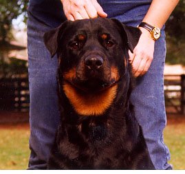 shauna1.jpg (19014 bytes)