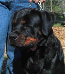 thunder_head.jpg (33165 bytes)